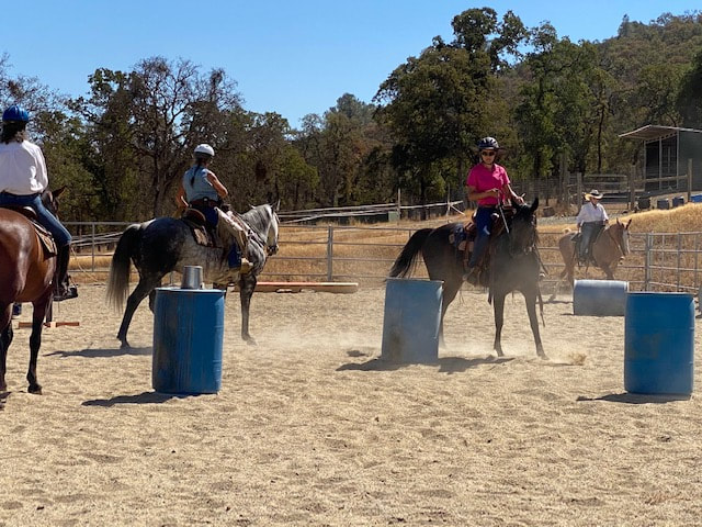 Lisa Calder Natural Horsemanship Training