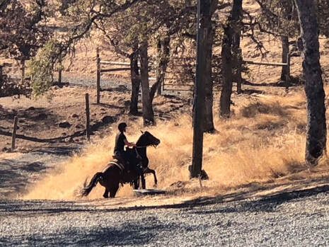 Adelina and Lisa trail riding