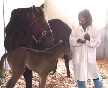 Carol Fuller Powell helping to preserve the genetics