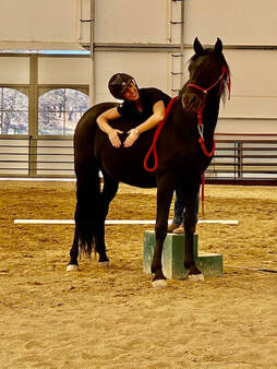 Lisa Calder Natural Horsemanship training